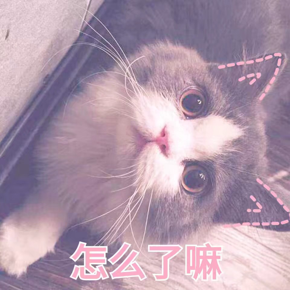 cute猫球/表情包