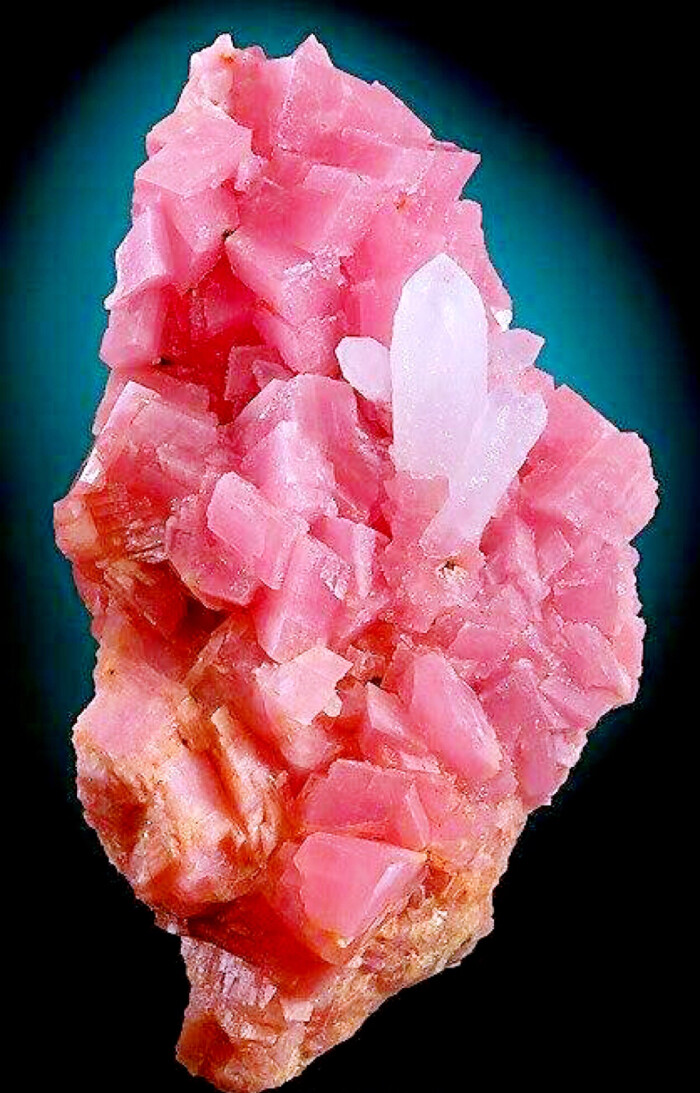 菱锰矿 rhodochrosite 真的是不管哪个矿标都特别好看