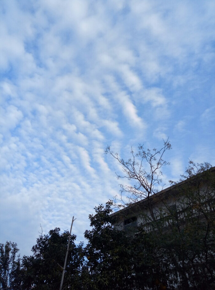 随手拍 风景壁纸