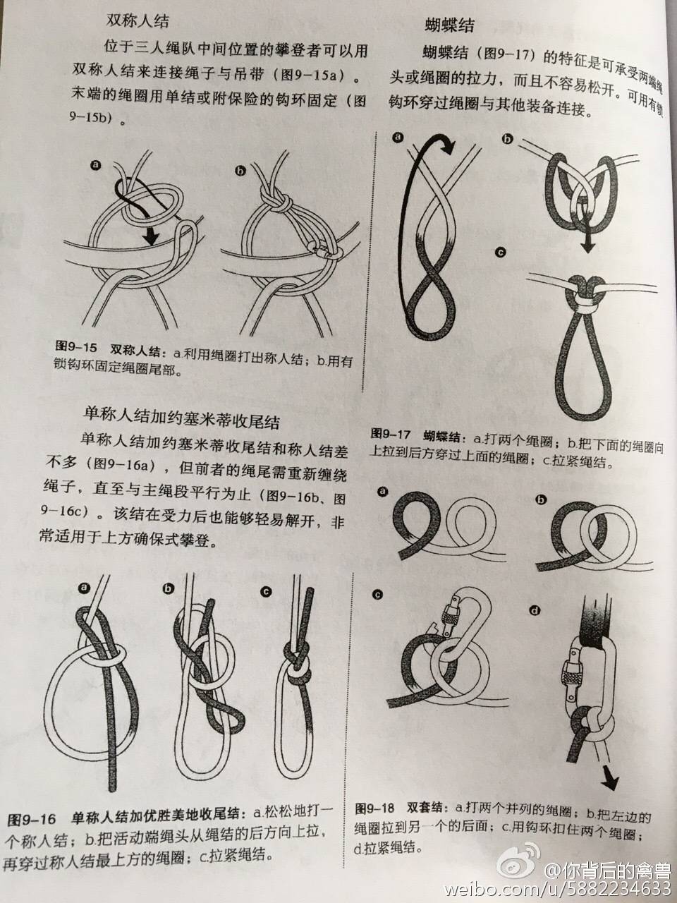 【绳结】蝴蝶绳盘基本绳结: 单结 双单结 单结绳环 水结 平结 渔人结