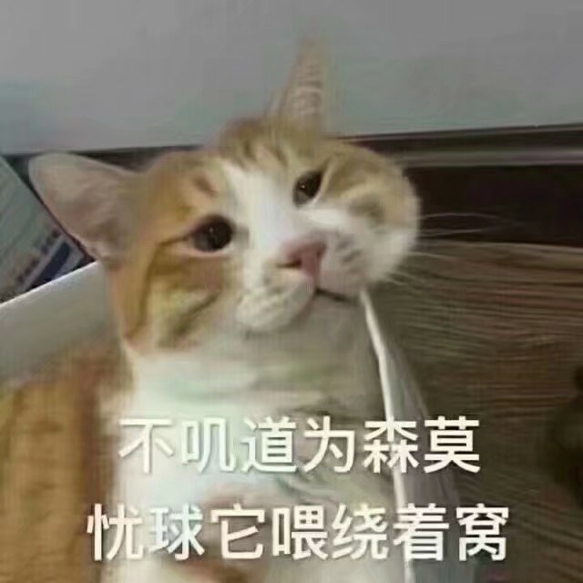 忧伤,忧愁,喵咪表情包