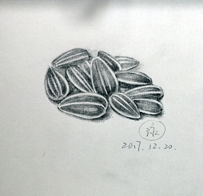 41素描瓜子