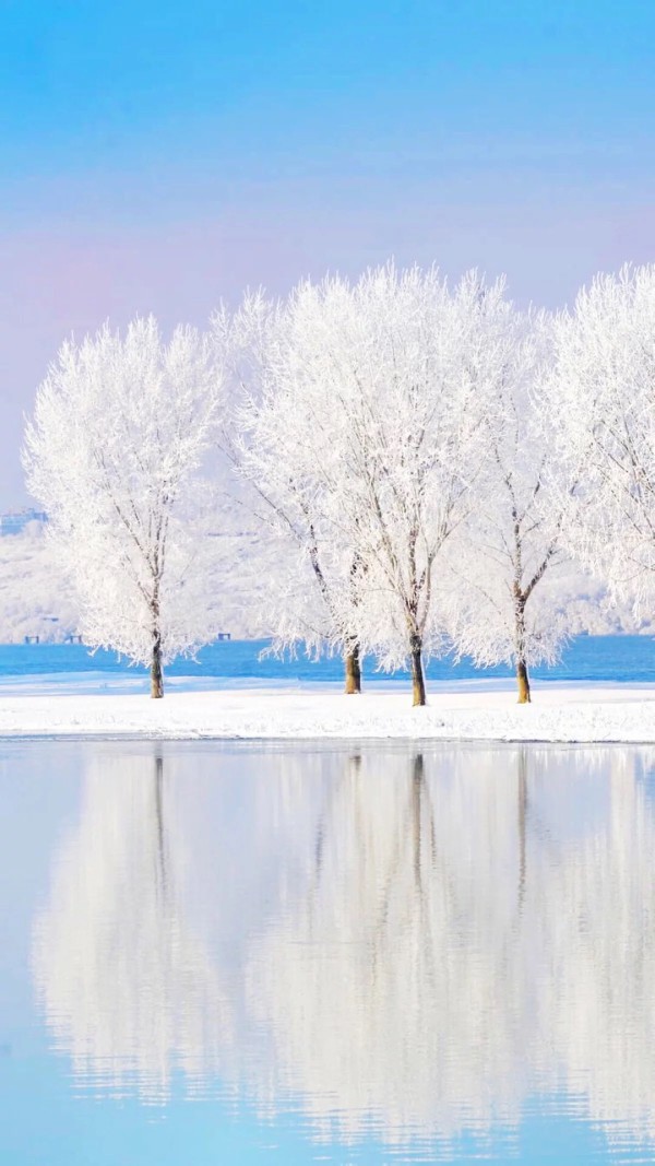 壁纸风景雪