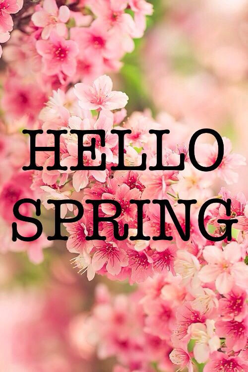 hello spring