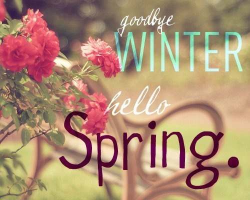 hello spring 02