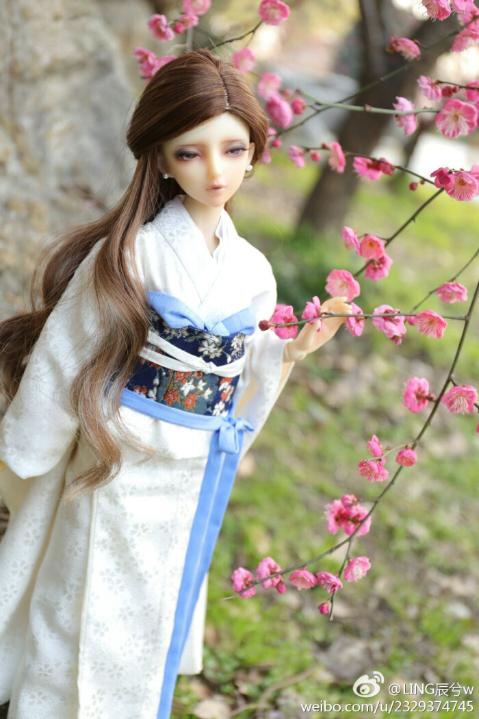 和风sd娃娃 bjd 玩具 人偶 壁纸 萌物