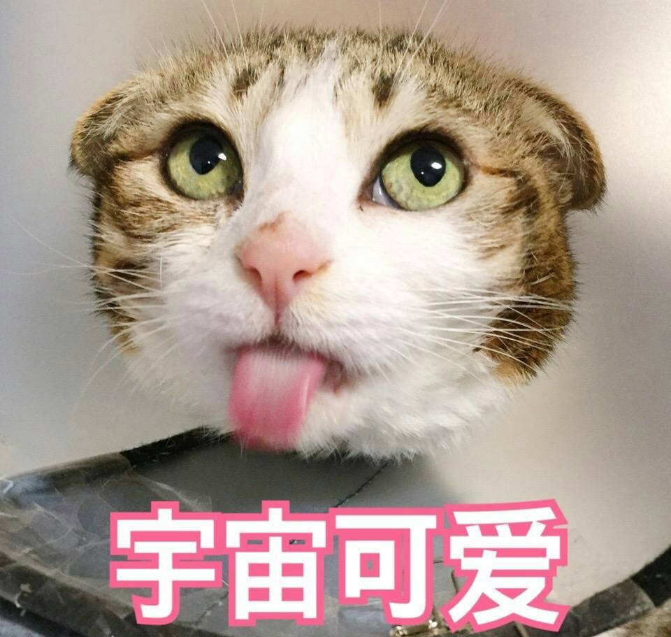 不喜欢我再想办法抱图dd或留下你的小爪爪点点赞 mua~-表情包