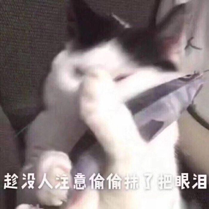 抹泪