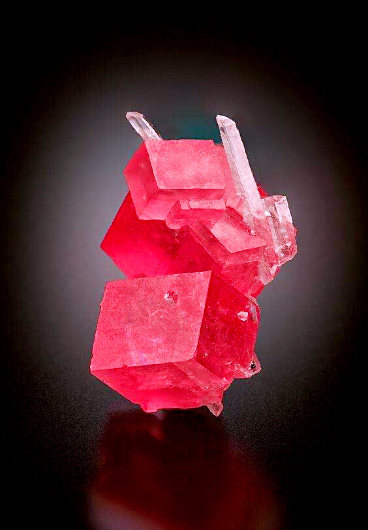 菱锰矿和水晶小兔子 rhodochrosite with quartz 水晶正好是耳朵