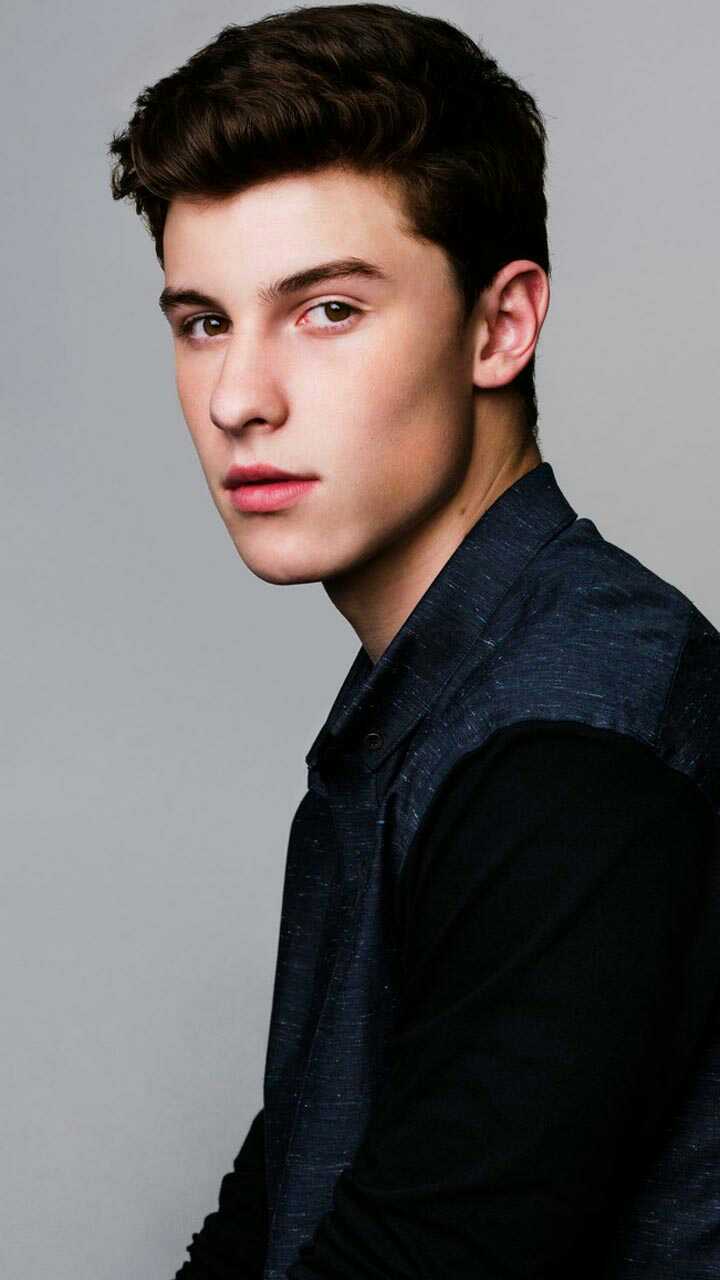 shawn mendes萌德