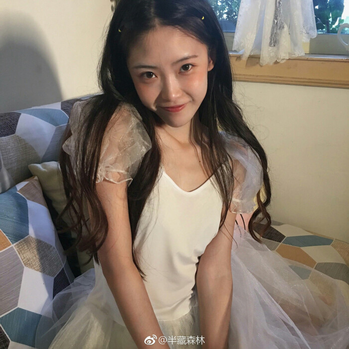 半藏森林