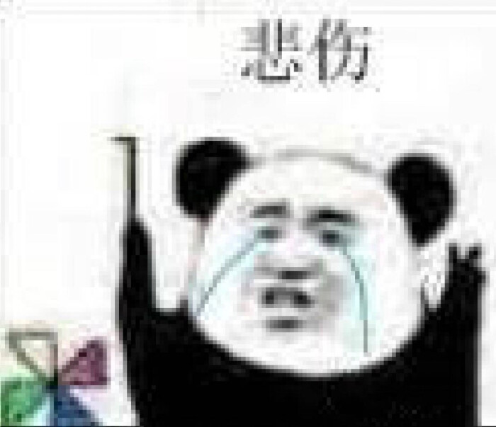 熊猫表情包