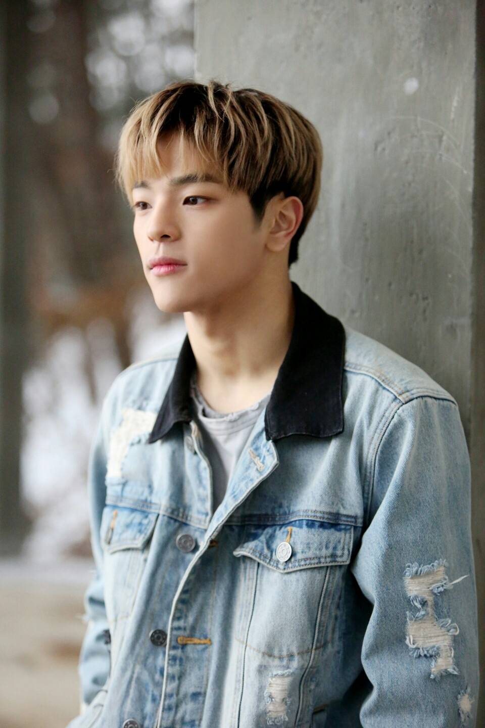 stray kids 金宇珍(kim woo jin)