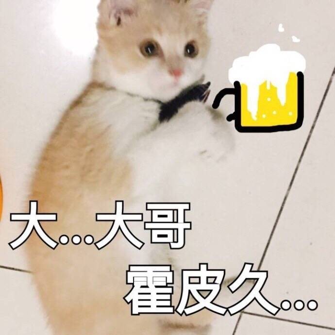 表情包【大…大哥 霍皮久…】