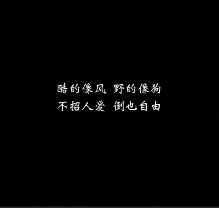 个性野句文字