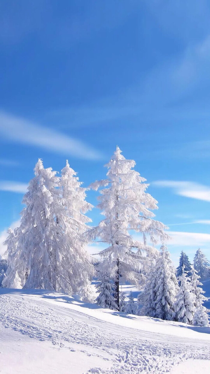 天空 雪