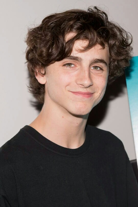 蒂莫西·柴勒梅德timothée chalamet,甜茶,头像,壁纸