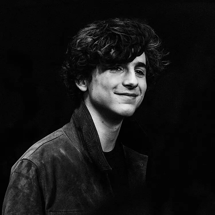 蒂莫西·柴勒梅德timothée chalamet,甜茶,头像,壁纸