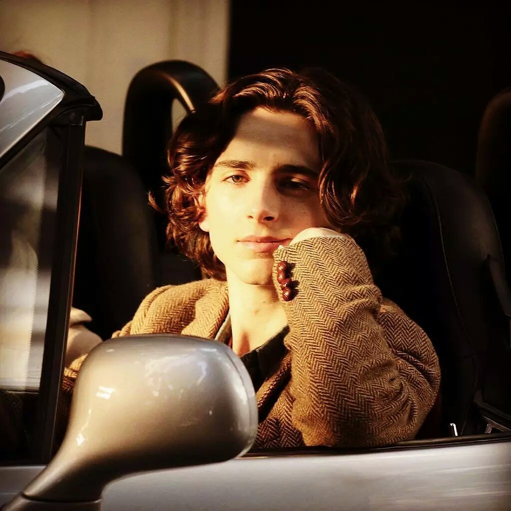 蒂莫西·柴勒梅德timothée chalamet,甜茶,头像,壁纸