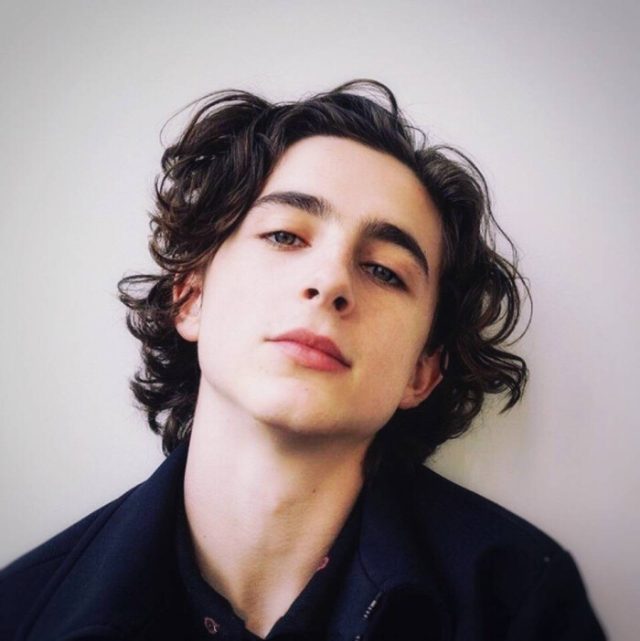 蒂莫西·柴勒梅德timothée chalamet,甜茶,头像,壁纸