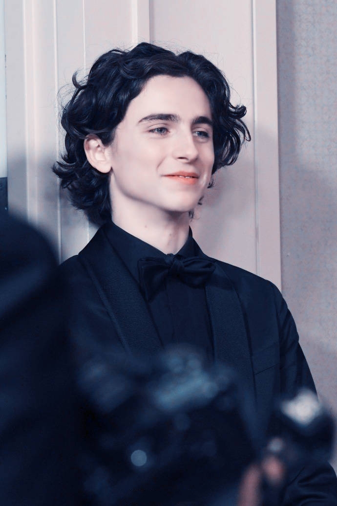 蒂莫西·柴勒梅德timothée chalamet,甜茶,头像,壁纸