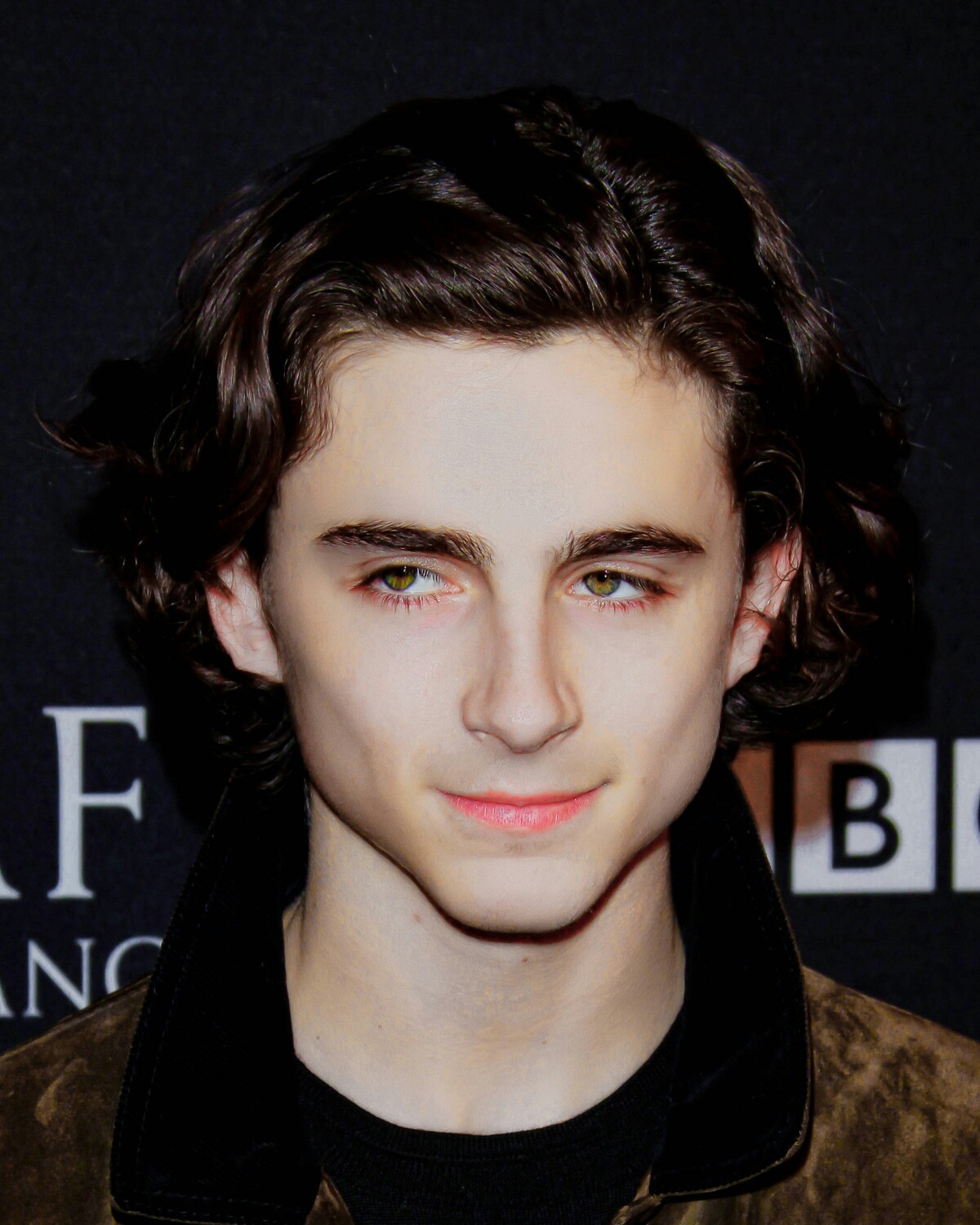 蒂莫西·柴勒梅德timothée chalamet,甜茶,头像,壁纸