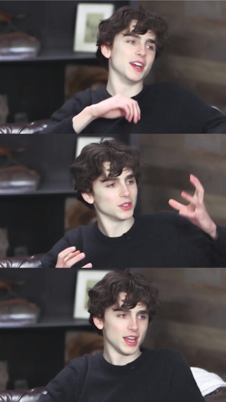 蒂莫西·柴勒梅德timothée chalamet,甜茶,头像,壁纸