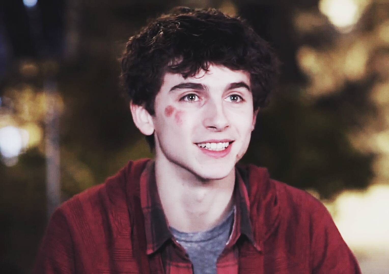 蒂莫西·柴勒梅德timothée chalamet,甜茶,头像,壁纸