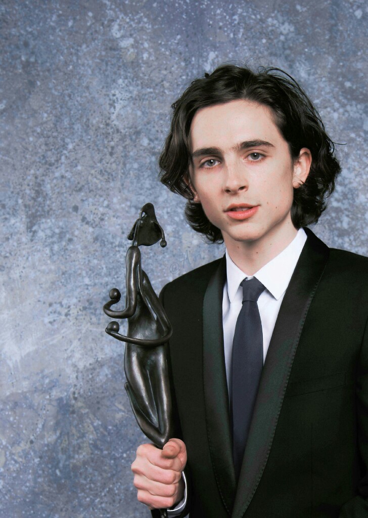 蒂莫西·柴勒梅德timothée chalamet,甜茶,头像,壁纸