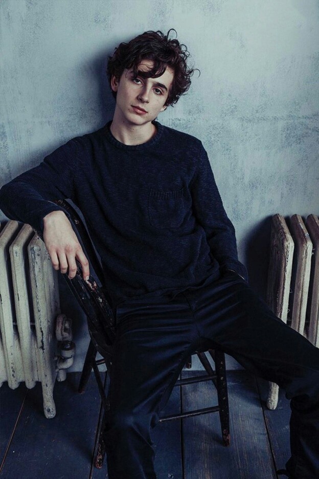 蒂莫西·柴勒梅德timothée chalamet,甜茶,头像,壁纸