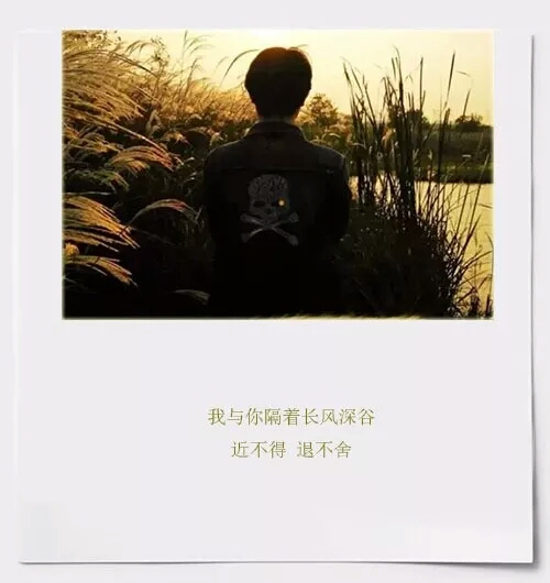 陪伴是最长情的告白相守是最温暖的承诺