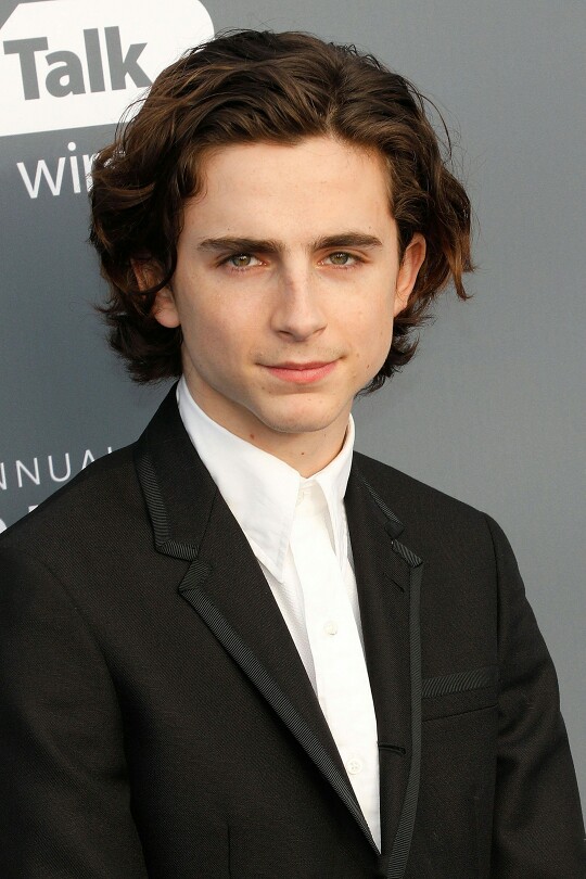 蒂莫西·柴勒梅德timothée chalamet,甜茶,头像,壁纸