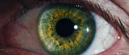 眼睛,瞳孔,eye