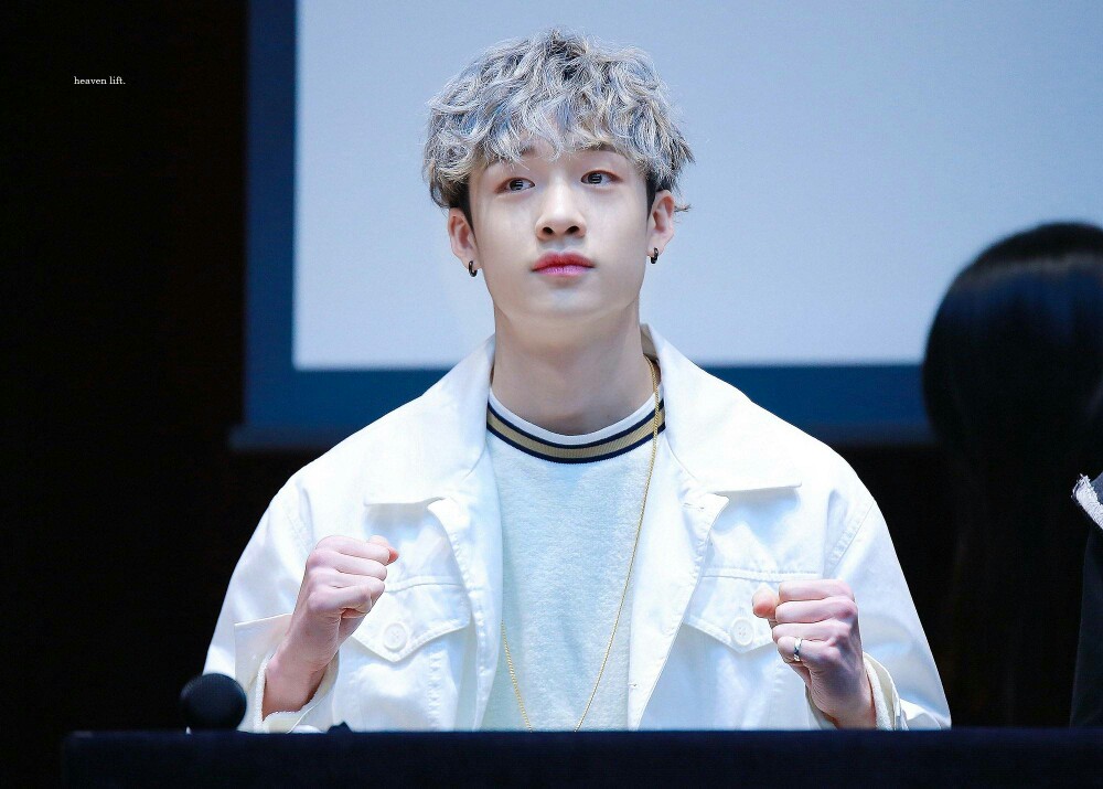 stray kids 方灿(bang chan)