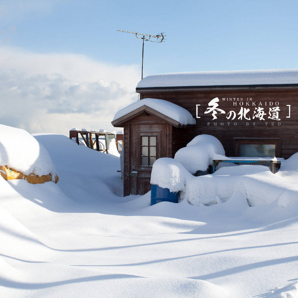 日本北海道雪景