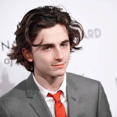 蒂莫西·柴勒梅德timothée chalamet,甜茶,头像,壁纸