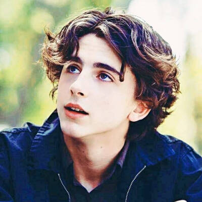 蒂莫西·柴勒梅德timothée chalamet,甜茶,头像,壁纸