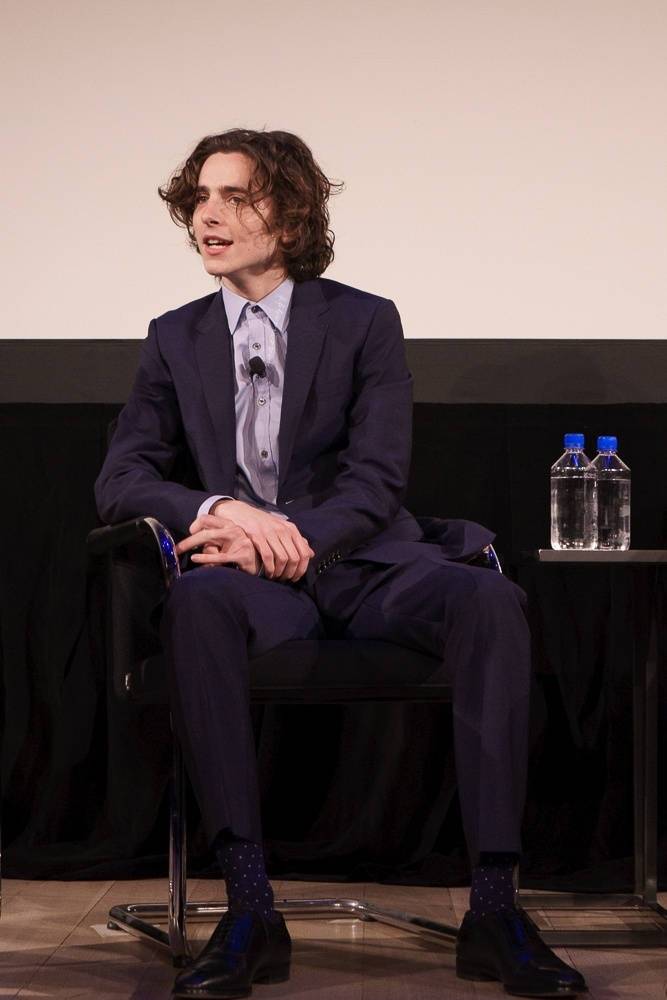 蒂莫西·柴勒梅德timothée chalamet,甜茶,头像,壁纸