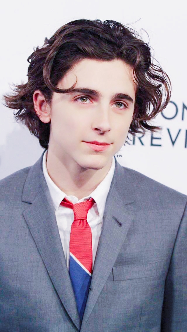 蒂莫西·柴勒梅德timothée chalamet,甜茶,头像,壁纸