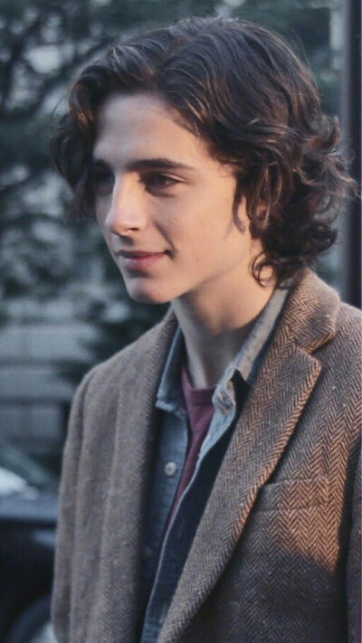 蒂莫西·柴勒梅德timothée chalamet,甜茶,头像,壁纸