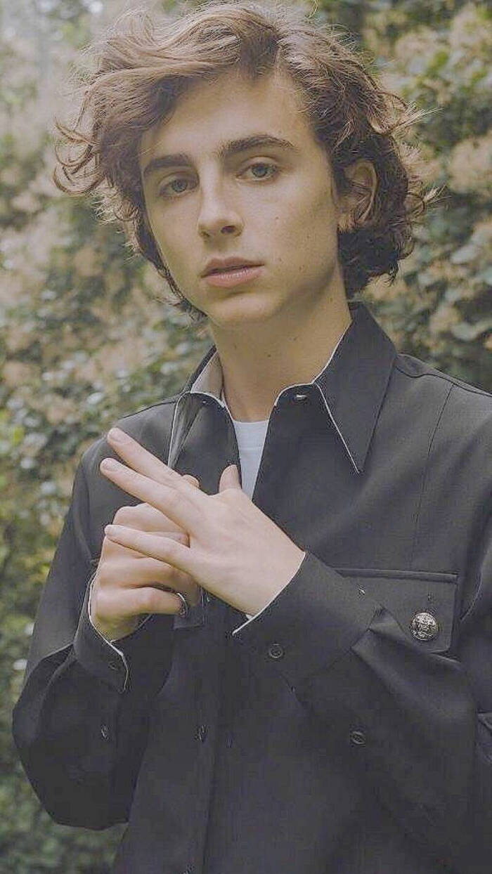 蒂莫西·柴勒梅德timothée chalamet,甜茶,头像,壁纸