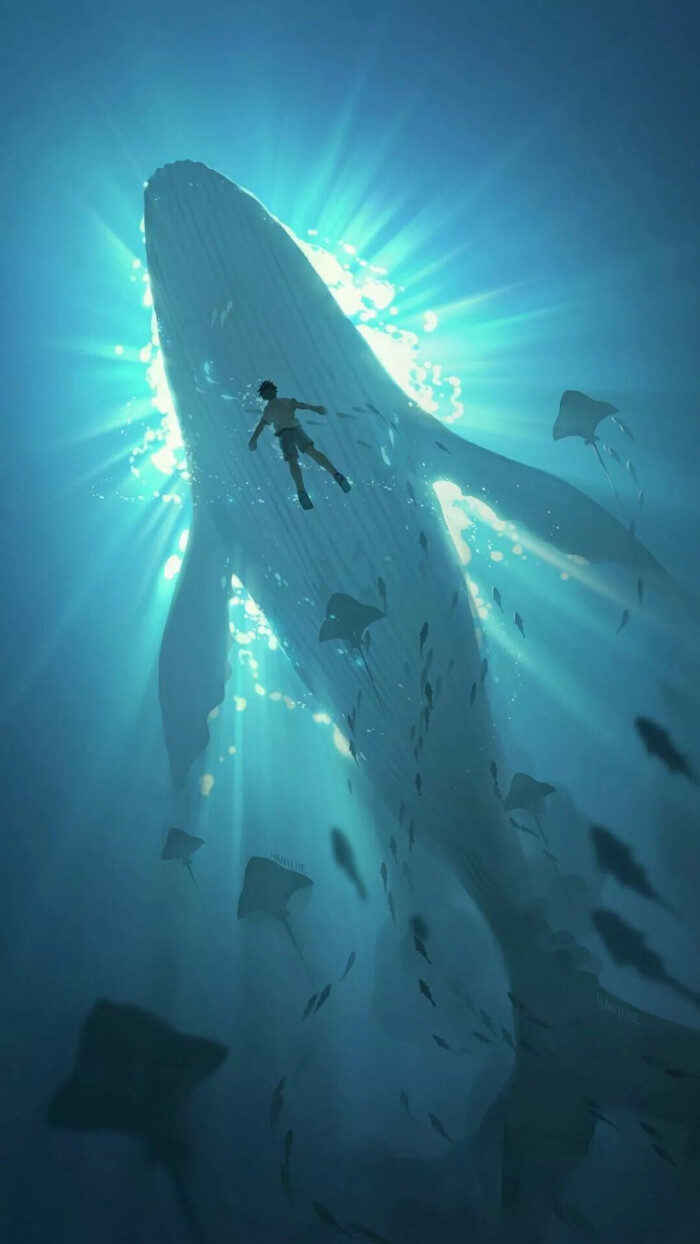 深海 鲸鱼 背景