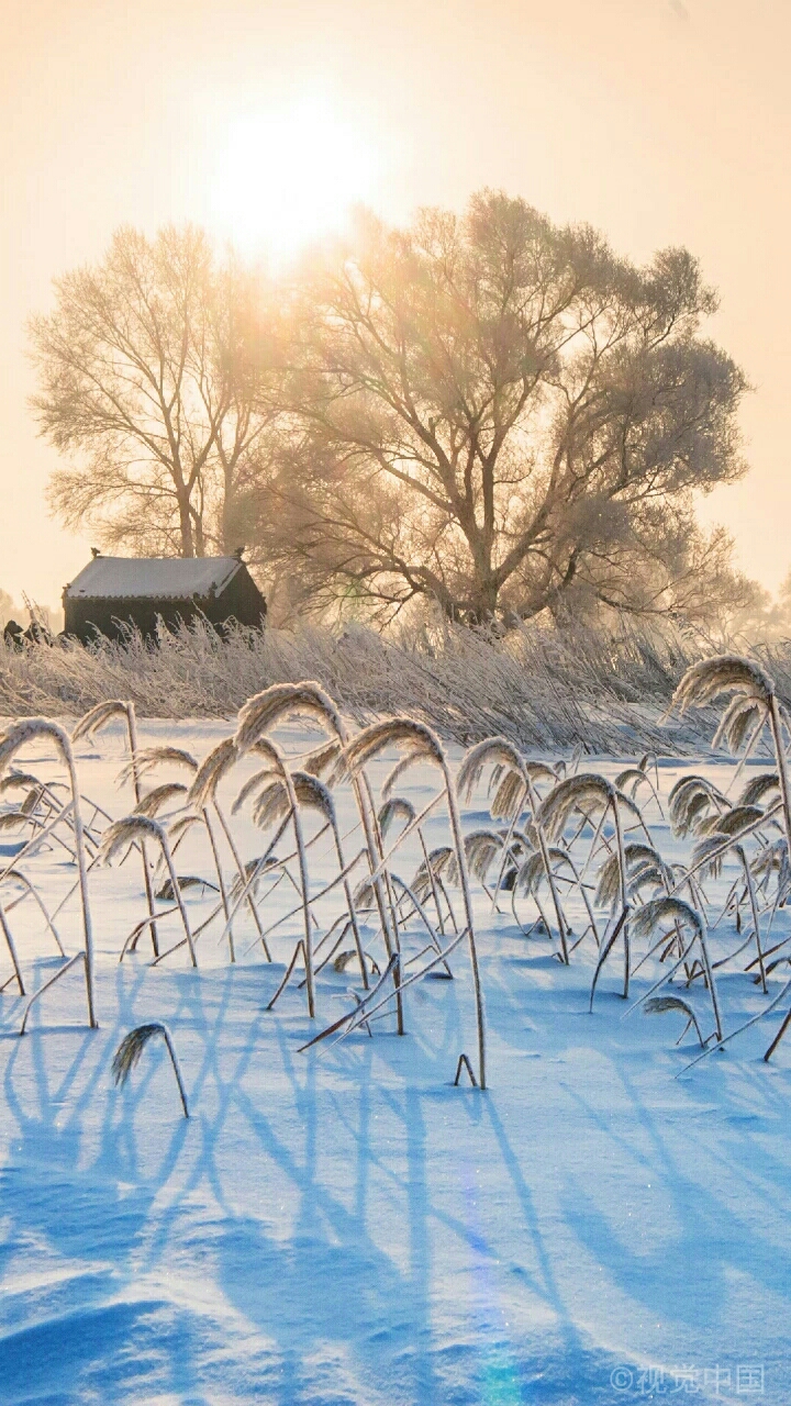 不一样的冬日风景