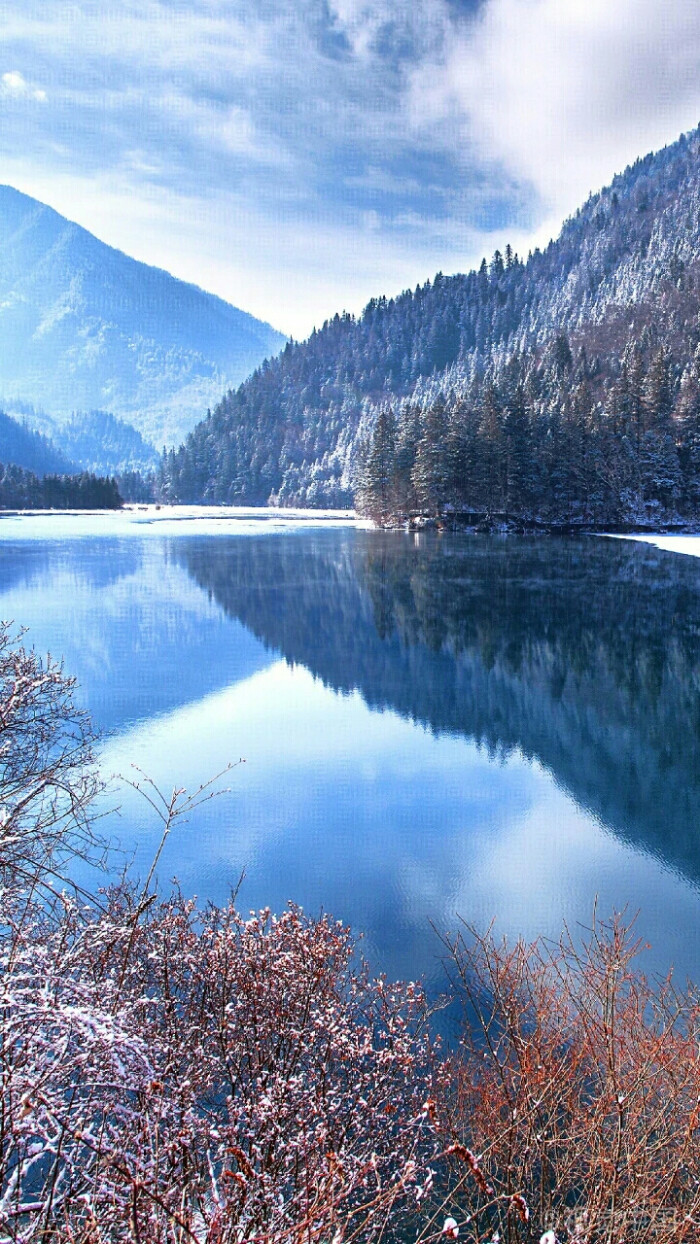 不一样的冬日风景九寨沟箭竹海虽至严冬,一汪湖水仍波光粼粼,充满生气