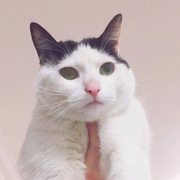 情侣头像