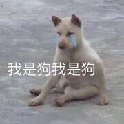 『汪汪汪』可爱 狗狗 表情包