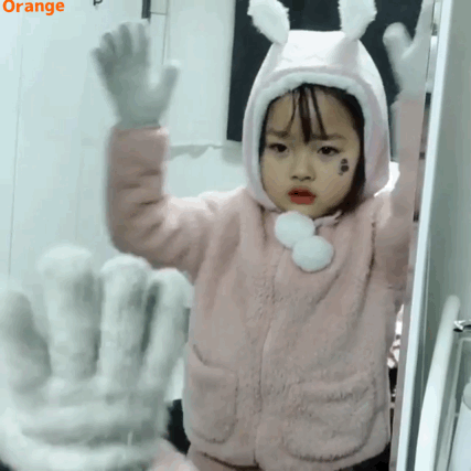 权律二 