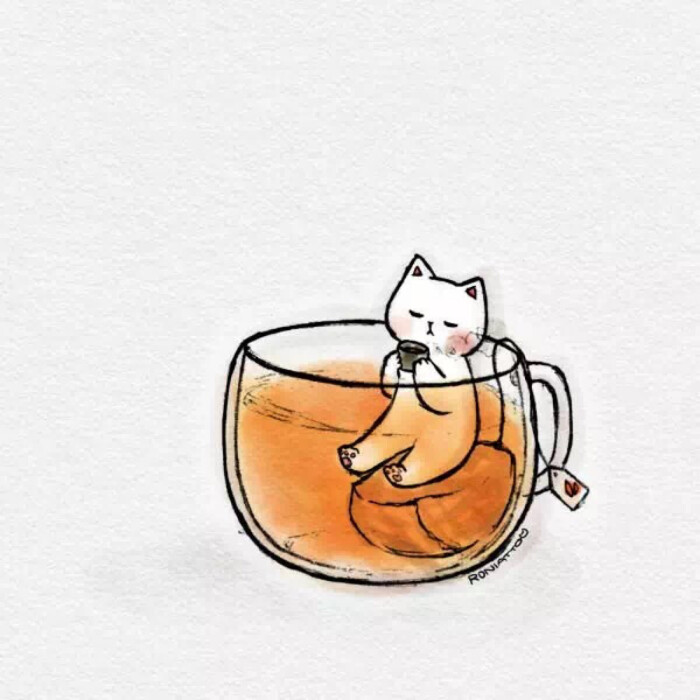 猫 暖茶 朋友圈封面 头像