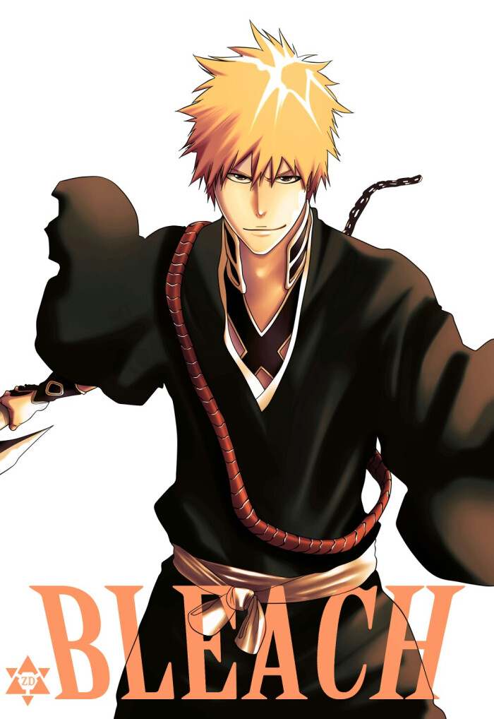 bleach 境·界 死神 壁纸 黑崎一护