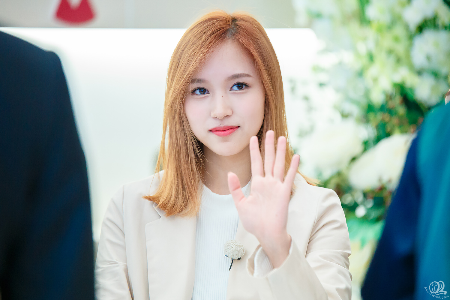 twice mina